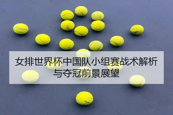 女排世界杯中国队小组赛战术解析与夺冠前景展望